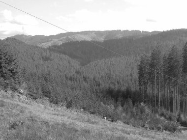 Gri gölgeli - Beskydy 'deki dağ manzarası. Çayırın arkasındaki muhteşem ormanlar. Dağ doğasının panoramik görüntüsü.