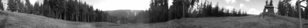 Image Blackwhite Image Panoramique Cercle Complet Des Prairies Des Forêts — Photo