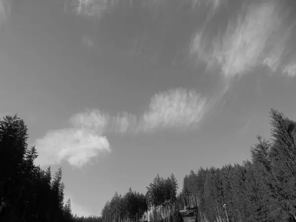 灰色阴影 夏天在美丽的别斯基底山脉森林上方蓝天上快速流动的圆形云彩的透视图 — 图库照片