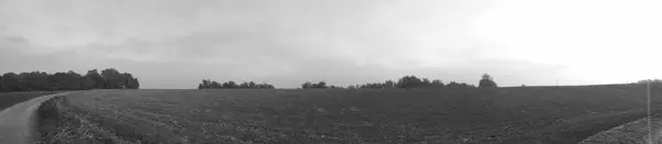 黑白照片 阳光普照的秋天田野全景 下午晚些时候拍摄的背景为树木的收获地 — 图库照片