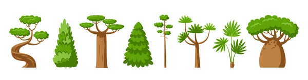 緑の木のフラットセット バオバブのヤシのドラカエーナ セコイアの松のモミ ヒノキのスプルース森林公園の植物のサイン — ストックベクタ