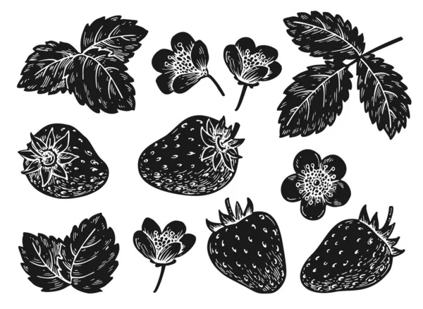 Клубничный Черный Набор Нарисованные Вручную Черно Белые Ягоды Оставляют Цветы — стоковый вектор