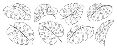 Monstera Deliciosa leaf black line icon set. Tropical exotic plant branch. Floral scrapbooking doodle hand drawn fashion vector design element. Outline philodendron foliage. Single leaves on white