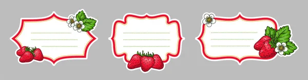 Strawberries Label Set Homemade Strawberry Paper Tag Sticker Retro Shape — Stockvector