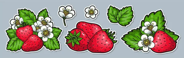 Strawberry Group Sticker Set Labels Realistic Handdrawn Berries Flowers Leaves — Stockvector