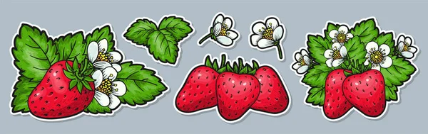 Rijp Aardbeien Leuke Cartoon Stickers Pinnen Patches Hele Rode Bessen — Stockvector