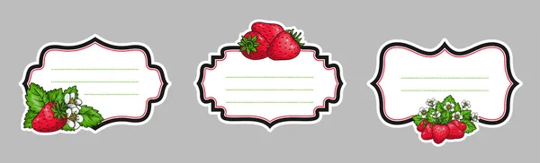 Strawberriy Vintage Frame Set Prijskaartje Voor Sierfruit Insignes Voor Retro — Stockvector