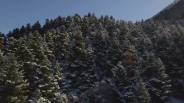 Karla dolu bir dağın insansız hava aracı görüntüsü. Dağlar, ağaçlar, kış.