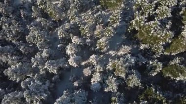 Karla dolu bir dağın insansız hava aracı görüntüsü. Dağlar, ağaçlar, kış.