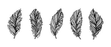 Eşsiz dekoratif tüy çizimi