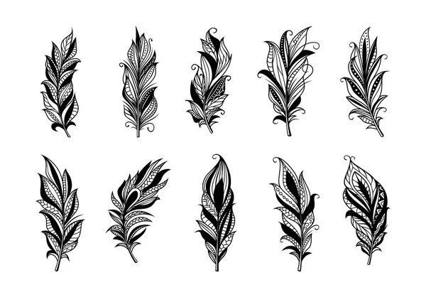 Set Peerless Decorative Feather Illustration —  Vetores de Stock