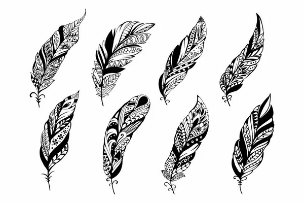 Set Peerless Decorative Feather Illustration — Stock vektor