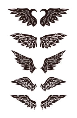 Kanat Koleksiyonunun İllüstrasyonu