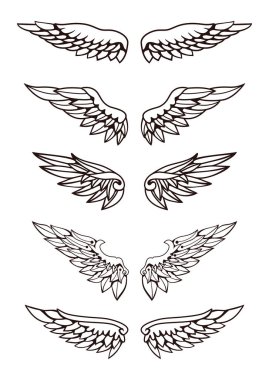 Kanat Koleksiyonunun İllüstrasyonu