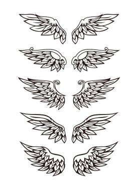 Kanat illüstrasyon kümesi