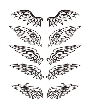 Kanat illüstrasyon kümesi