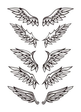 Kanat illüstrasyon kümesi