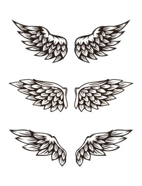 Kanat illüstrasyon kümesi