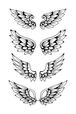 Kanat illüstrasyon kümesi