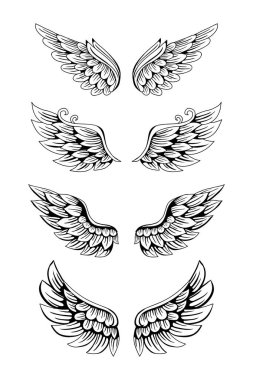 Kanat illüstrasyon kümesi