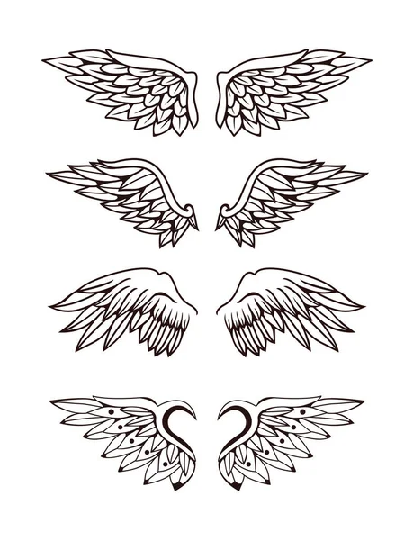 Illustration Wings Collection — Stock Vector