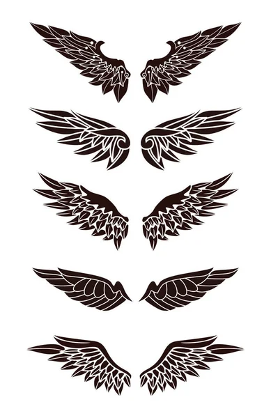 Illustration Wings Collection — Stock Vector