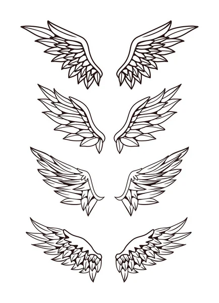 Kanat Koleksiyonunun İllüstrasyonu