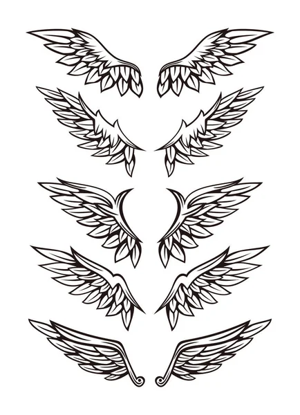 Kanat illüstrasyon kümesi