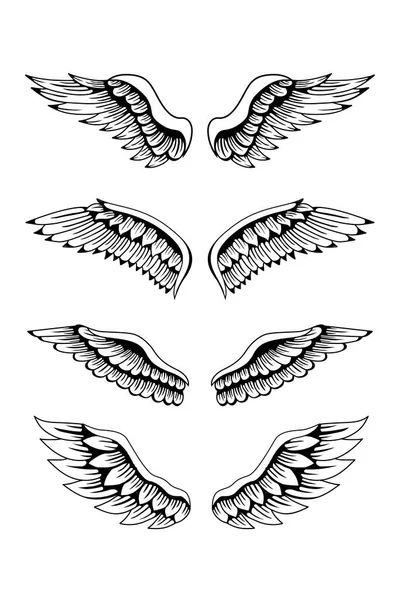 Set Wing Illustration — Stock Vector