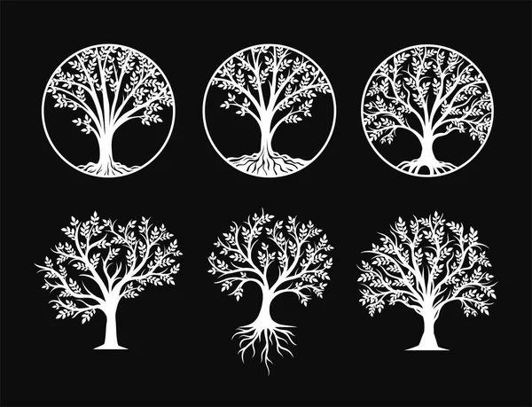 100,000 Celtic tree of life Vector Images