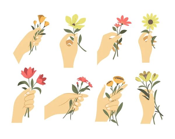 女人手牵着花束或枝条 姿势各异 — 图库矢量图片