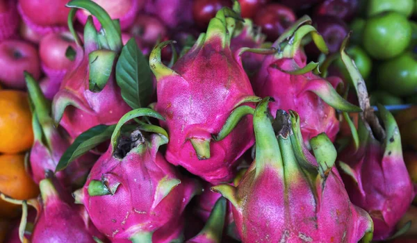 Stall of organic fruits. Dragon fruit on market stand. Selling organic fresh agricultural product at farmer market. All kinds of asian fruits in Bali, Indonesia.