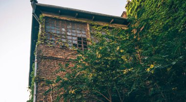 Colorful traditional houses with wooden carved balconies in the Old Town of Tbilisi, Georgia. Architecture and landmarks.