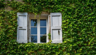 Traditional eco architecture with plants on the facade. Ecology and green environment concept. Stone farmhouse at French Alps. Farmhouse windows with old shabby shutters surrounded by ivy.