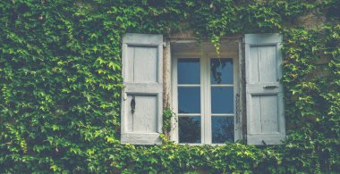 Traditional eco architecture with plants on the facade. Ecology and green environment concept. Stone farmhouse at French Alps. Farmhouse windows with old shabby shutters surrounded by ivy.