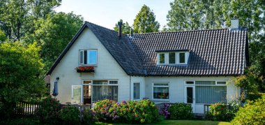 Hollanda, Giethoorn 'un tipik evleri. Güzel evler ve bahçıvanlık. Çiftlik alanındaki ünlü Giethoorn köyünün manzarası. Kanalları ve sazdan yapılmış çatıları var..