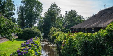 Peaceful rural landscape of Giethoorn village, the Netherlands. House with beautiful flowers in small typical village. Landscape view of houses with canals and rustic thatched roof houses.