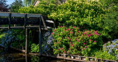 View of typical houses of Giethoorn, Netherlands. The beautiful houses and gardening city is know as 