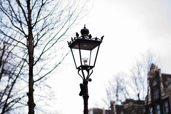 Vintage Street Lantern Street Lamp Amsterdam Architecture Street Design Urban — Stock Photo, Image