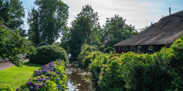 Peaceful Rural Landscape Giethoorn Village Netherlands House Beautiful Flowers Small — Stockfoto