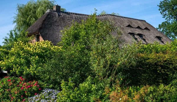 View Typical Houses Giethoorn Netherlands Beautiful Houses Gardening City Know — Stockfoto