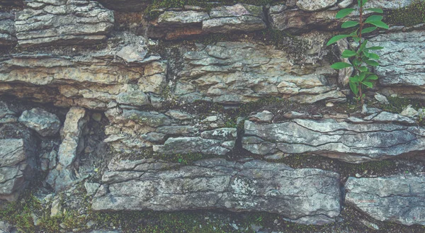Old Brown Stone Wall Stone Wall Texture Old Rocks Blocks — Stockfoto
