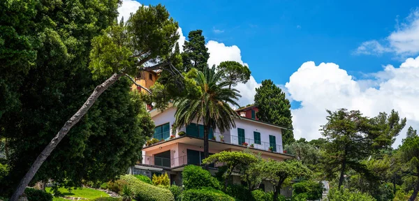 Reggeli Kilátás Ligúria Partvonalán Földközi Tenger Luxus Villa Lenyűgöző Botanikus — Stock Fotó