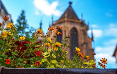 Renkli çiçekler ve Colmar 'daki geleneksel yarı ahşap evler vasıtasıyla Aziz Martin kilisesinin bulanık görüntüsü. Güneşli bir günde sevimli eski bir kasaba. Fransa, Alsace.