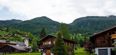 Geleneksel Alp köyü, taze yeşil çayırlar, orman, çiçek açan çiçekler ve baharda karla kaplı dağ manzarası..