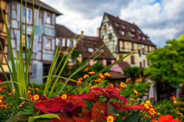 Lindas Flores Canal Água Casas Tradicionais Meia Madeira Colmar Encantadora — Fotografia de Stock