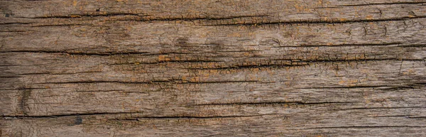 表面時間によって浸食され 古い木の背景 茶色の木の質感 要約背景 空白のテンプレート — ストック写真