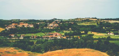 Geleneksel kırsal ve güzel Toskana manzaraları. Altın renkli tarlalar ve selvi ağaçları. Tatil, seyahat konsepti. Avrupa turu. Gürültü ve tahılla klasik ton filtre efekti.