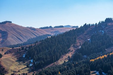 Sabah sisinin içinden görünen siluetleri olan bir dağ sırası. Dağların yamaçları ladin ormanlarıyla kaplı. Vahşi doğanın güzelliği.