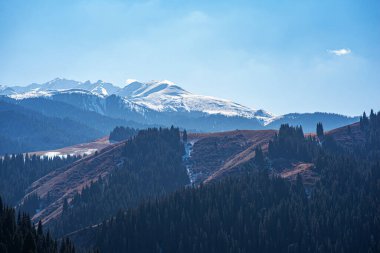 Sabah sisinin içinden görünen siluetleri olan bir dağ sırası. Dağların yamaçları ladin ormanlarıyla kaplı. Vahşi doğanın güzelliği.